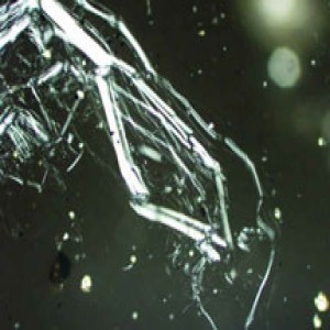 asbestos